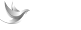 Blue Sky Learning logo
